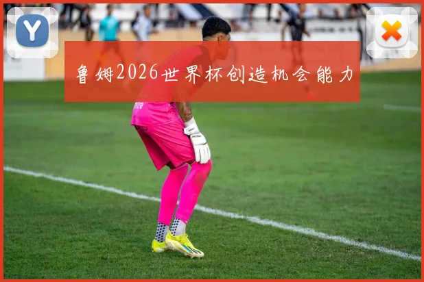 鲁姆2026世界杯创造机会能力