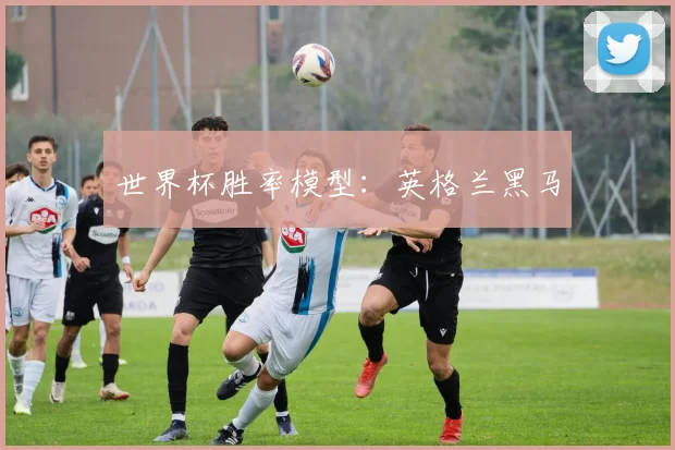 世界杯胜率模型：英格兰黑马