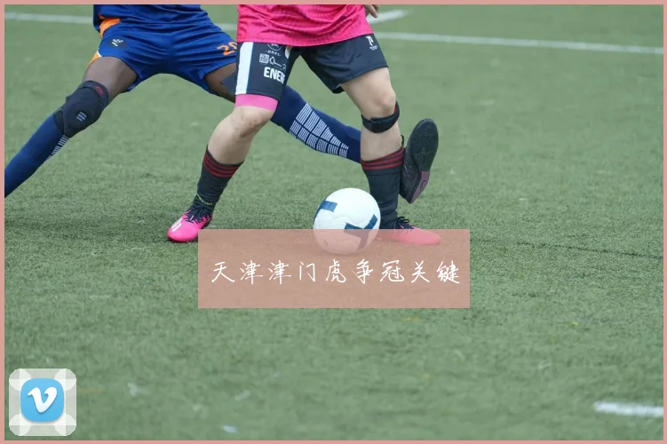 天津津门虎争冠关键