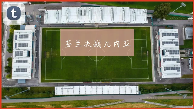芬兰决战几内亚