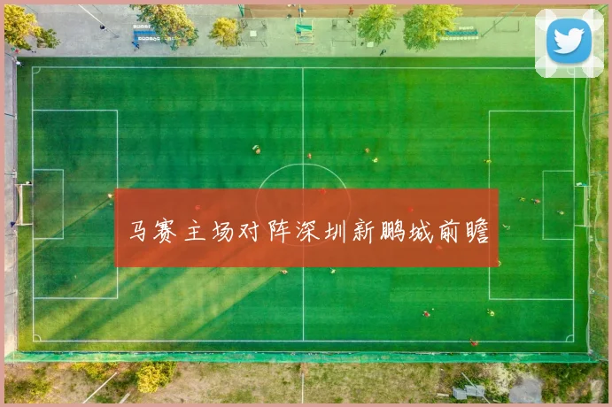 马赛主场对阵深圳新鹏城前瞻