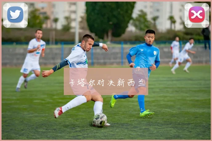 卡塔尔对决新西兰