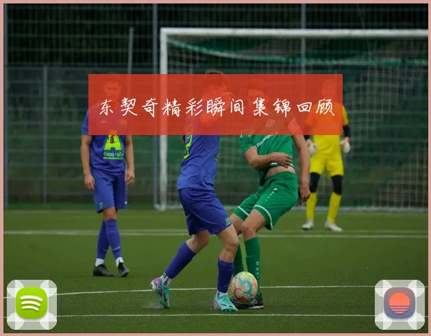 东契奇精彩瞬间集锦回顾
