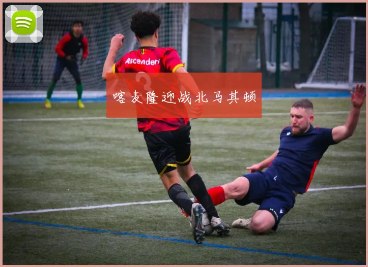 喀麦隆迎战北马其顿