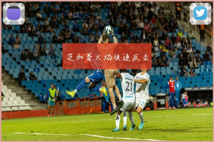 芝加哥火焰快速反击