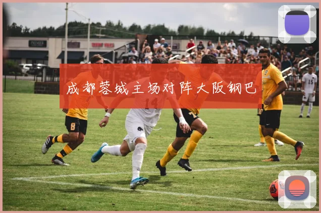 成都蓉城主场对阵大阪钢巴