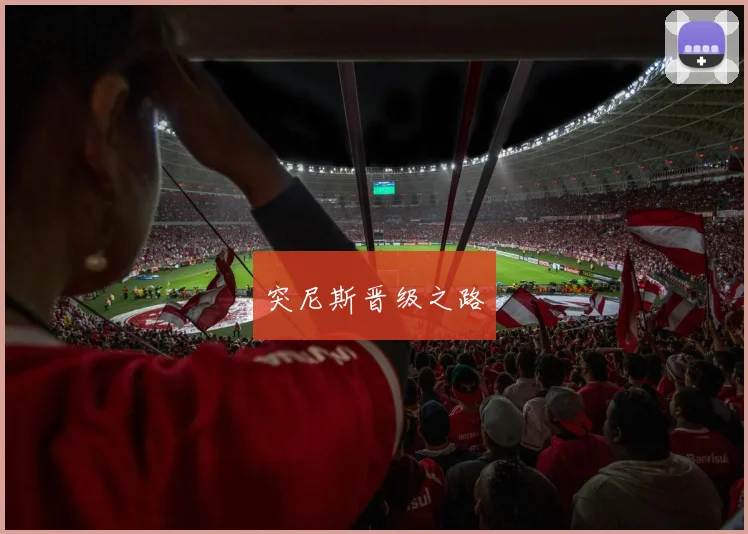 突尼斯晋级之路