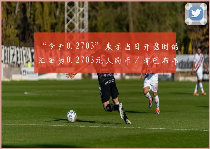 “今开0.2703”表示当日开盘时的汇率为0.2703元人民币／津巴布韦元