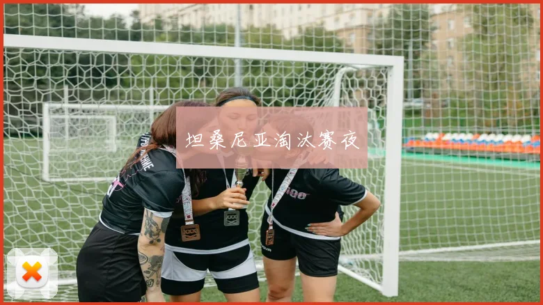 坦桑尼亚淘汰赛夜