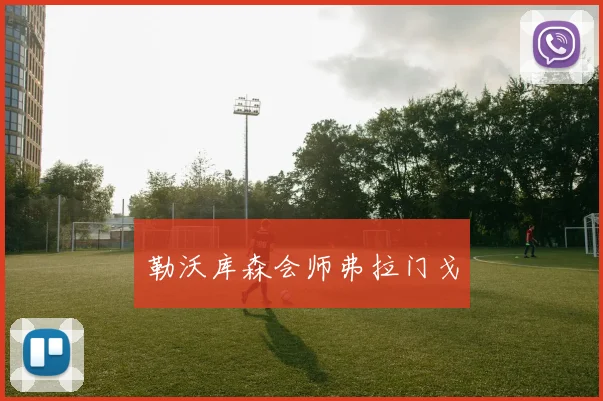 勒沃库森会师弗拉门戈