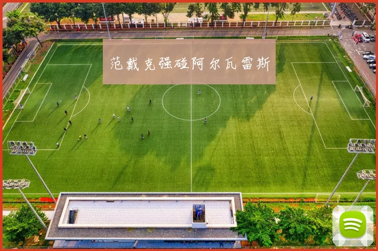范戴克强碰阿尔瓦雷斯