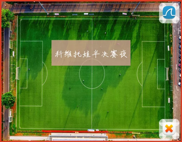 科维托娃半决赛夜