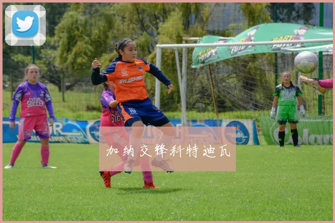 加纳交锋科特迪瓦