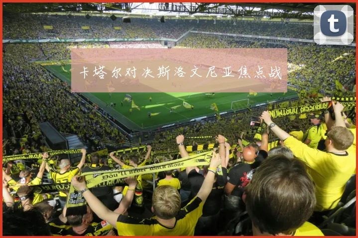 卡塔尔对决斯洛文尼亚焦点战