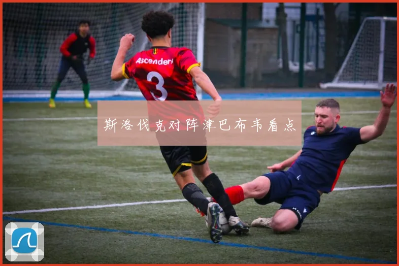 斯洛伐克对阵津巴布韦看点