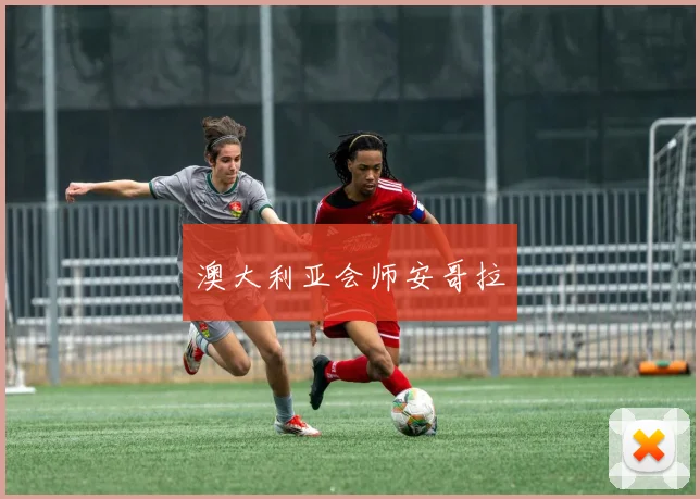 澳大利亚会师安哥拉