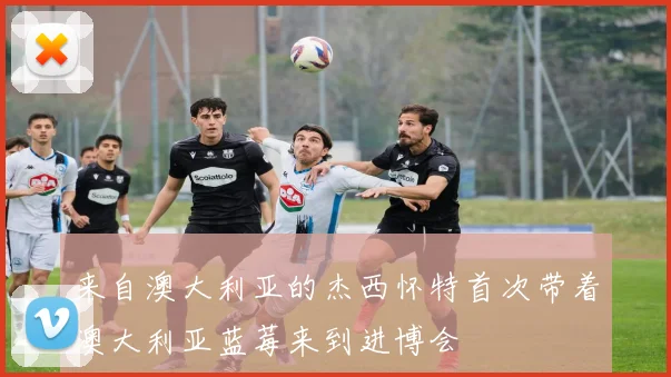 来自澳大利亚的杰西怀特首次带着澳大利亚蓝莓来到进博会