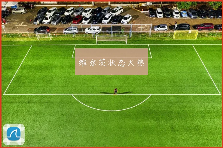 维尔茨状态火热