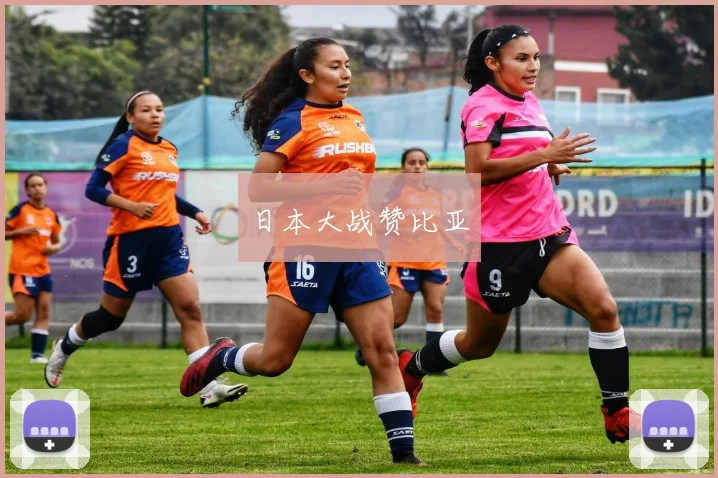 日本大战赞比亚