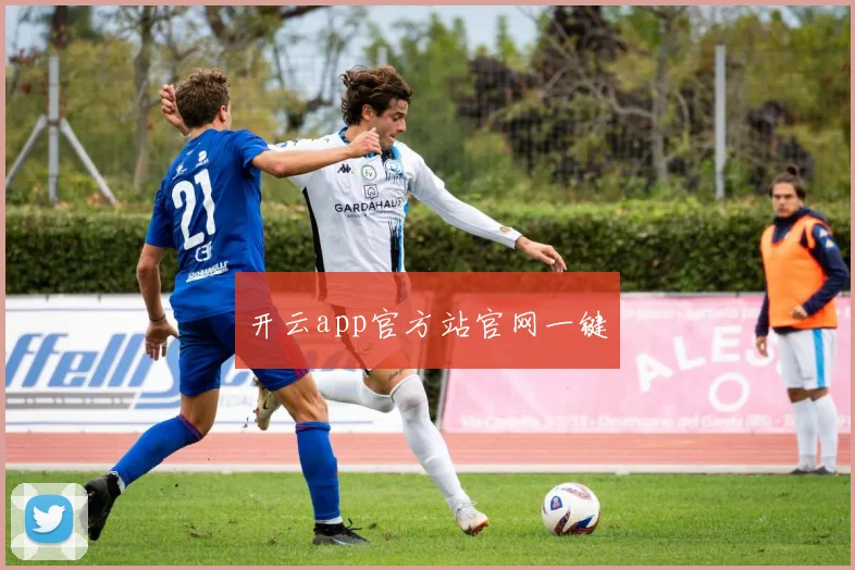 开云app官方站官网一键