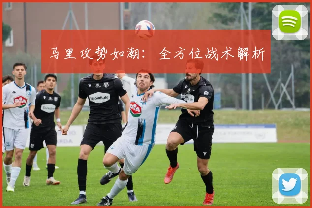 马里攻势如潮：全方位战术解析