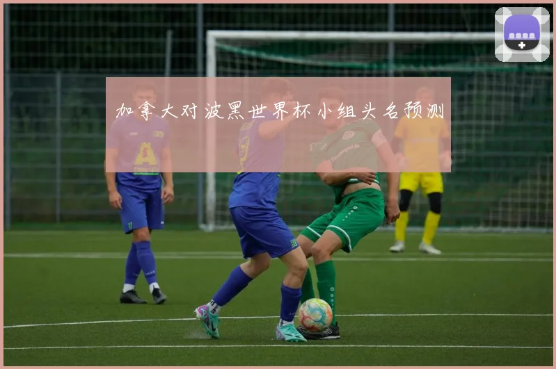 加拿大对波黑世界杯小组头名预测