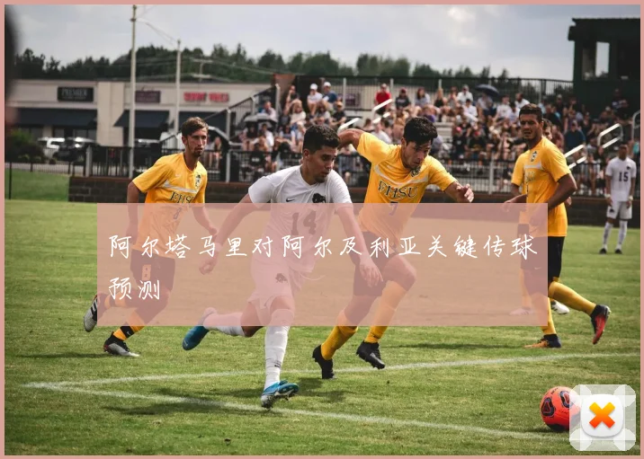 阿尔塔马里对阿尔及利亚关键传球预测