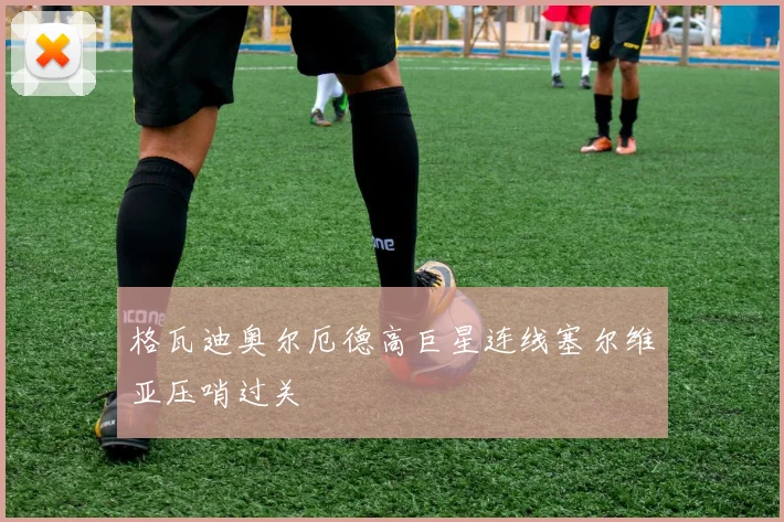 格瓦迪奥尔厄德高巨星连线塞尔维亚压哨过关