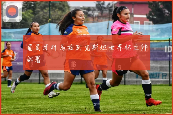 葡萄牙对乌兹别克斯坦世界杯主帅部署
