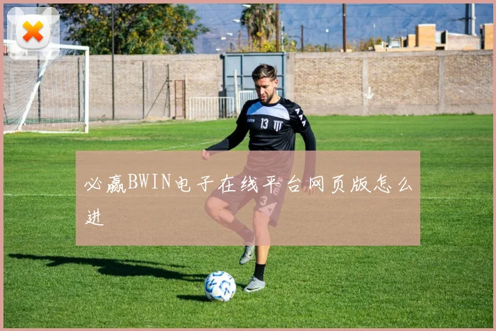 必赢BWIN电子在线平台网页版怎么进