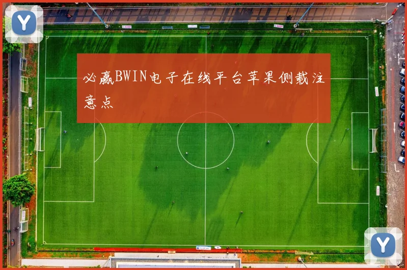 必赢BWIN电子在线平台苹果侧载注意点