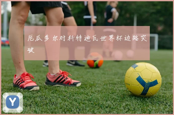 厄瓜多尔对科特迪瓦世界杯边路突破