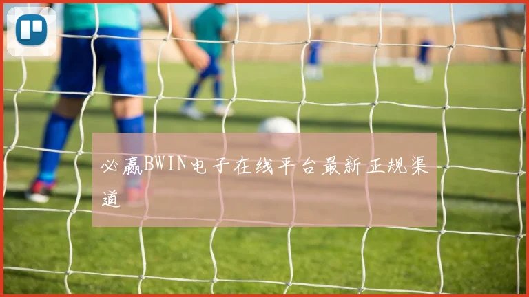 必赢BWIN电子在线平台最新正规渠道